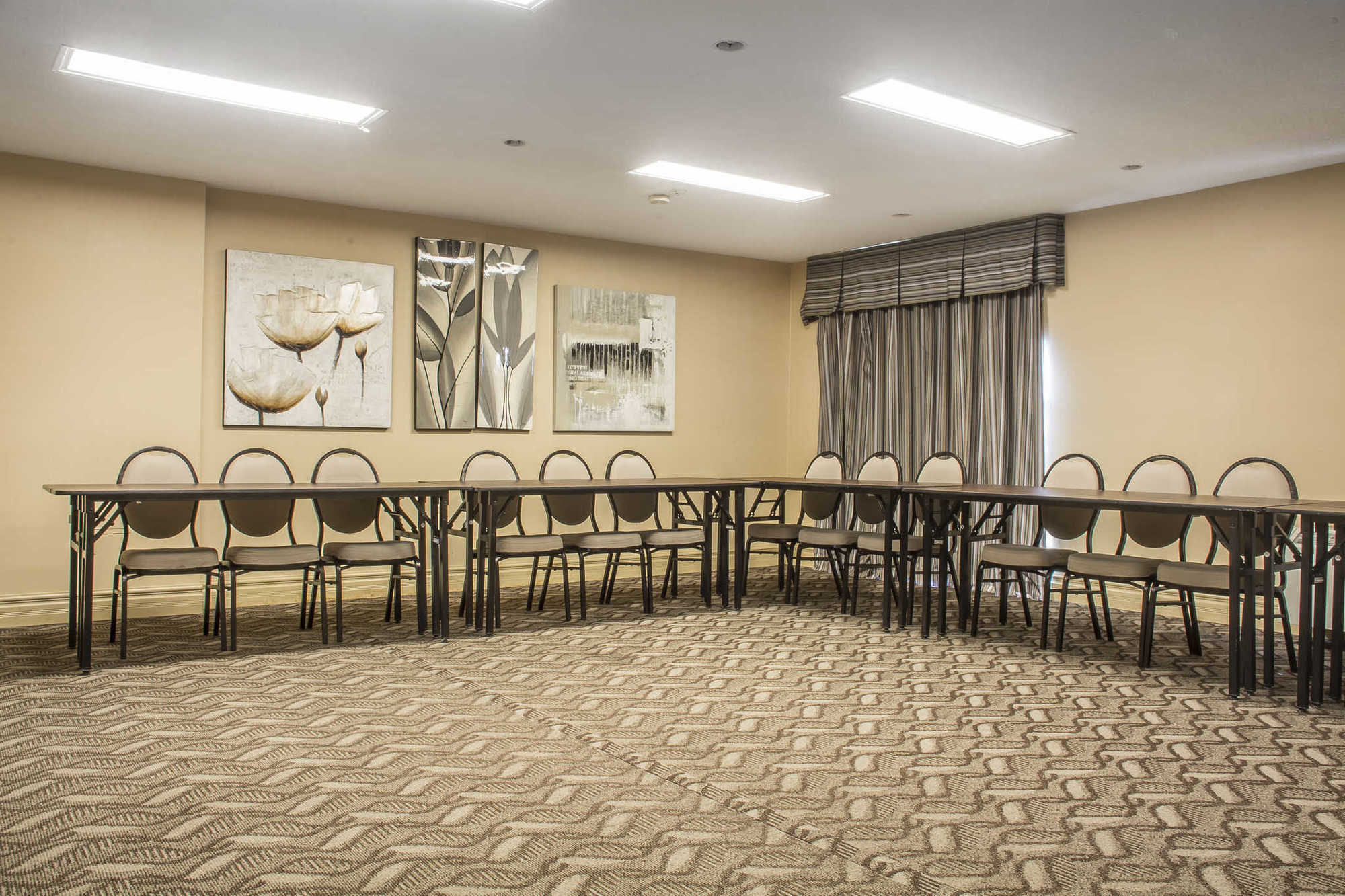 Comfort Inn & Suites Ambassador Bridge Windsor Faciliteter billede