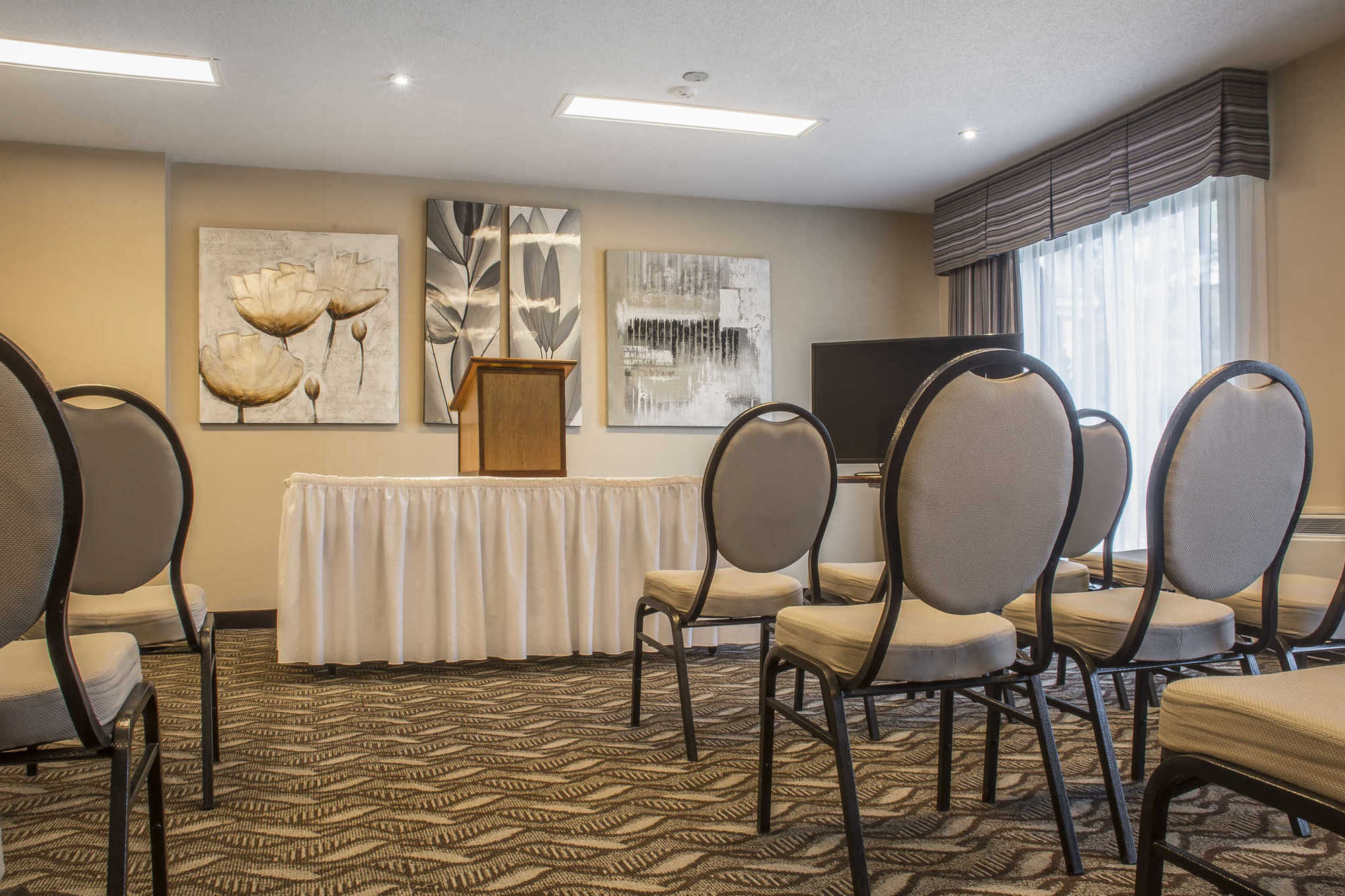Comfort Inn & Suites Ambassador Bridge Windsor Faciliteter billede
