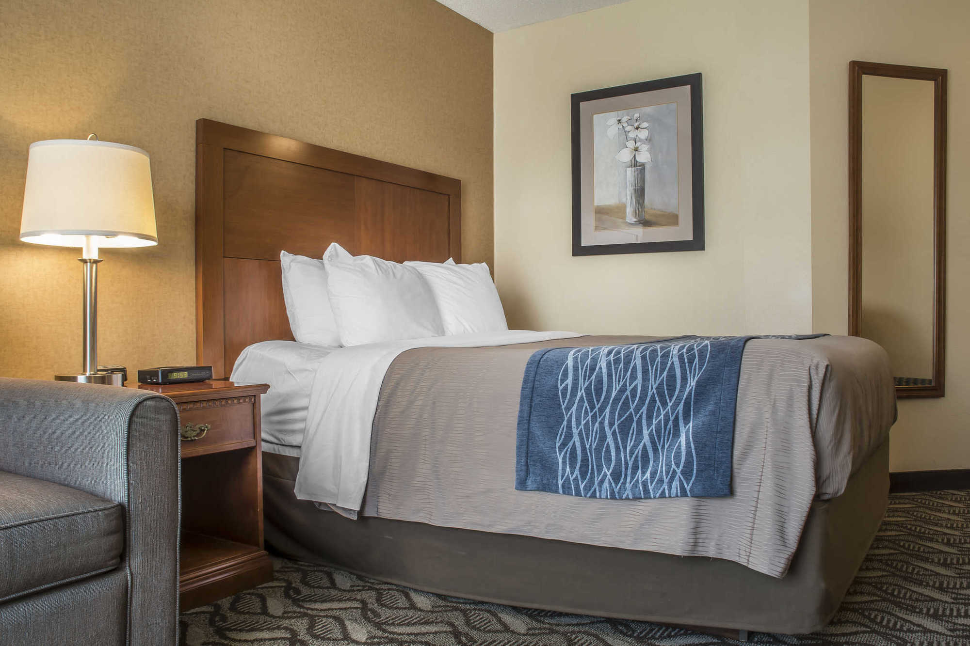 Comfort Inn & Suites Ambassador Bridge Windsor Værelse billede