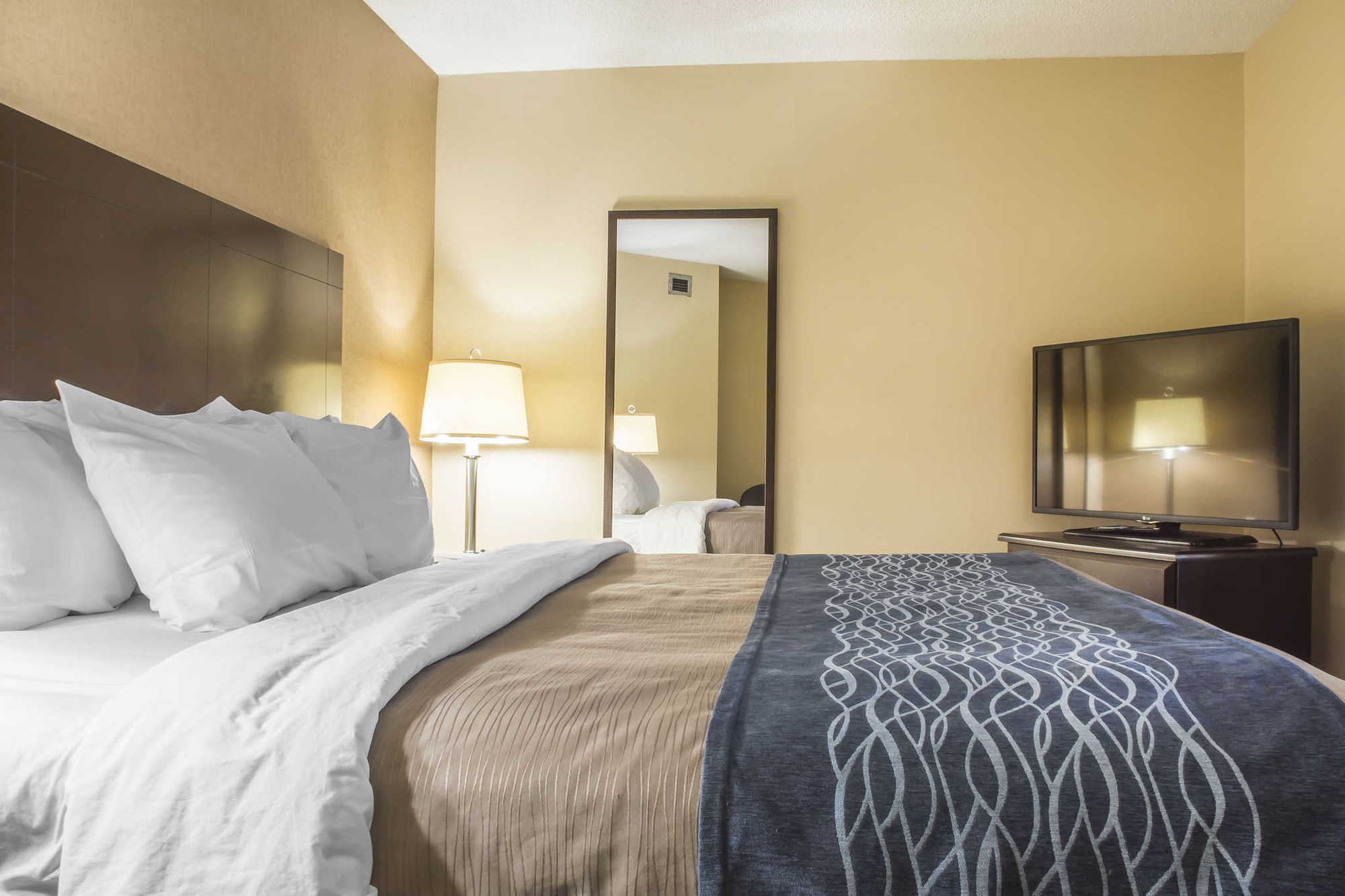 Comfort Inn & Suites Ambassador Bridge Windsor Værelse billede