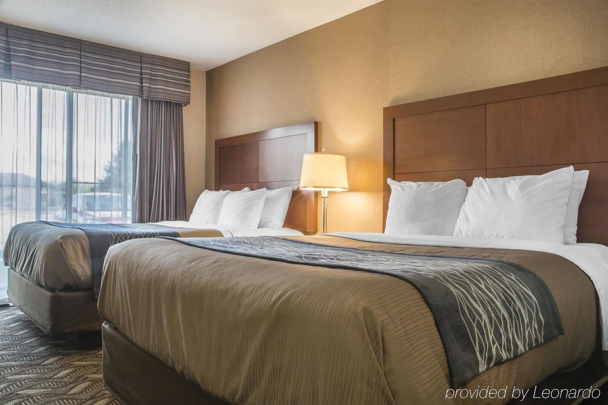 Comfort Inn & Suites Ambassador Bridge Windsor Eksteriør billede